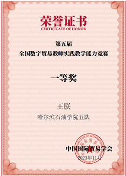 数字贸易大赛(放到第三项下面)